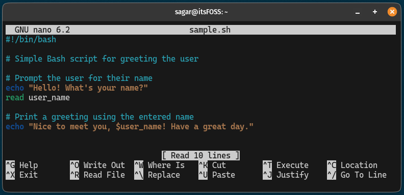 paste text in the nano editor